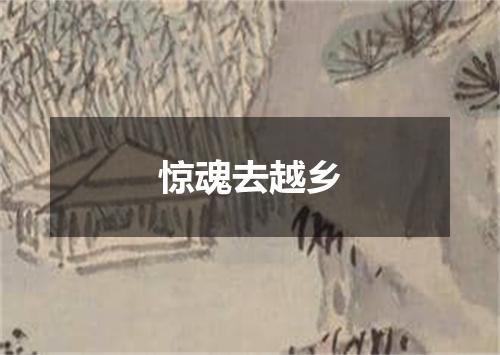惊魂去越乡