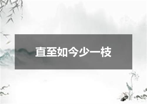 直至如今少一枝