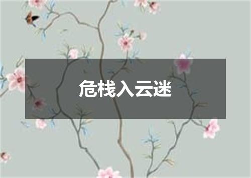 危栈入云迷