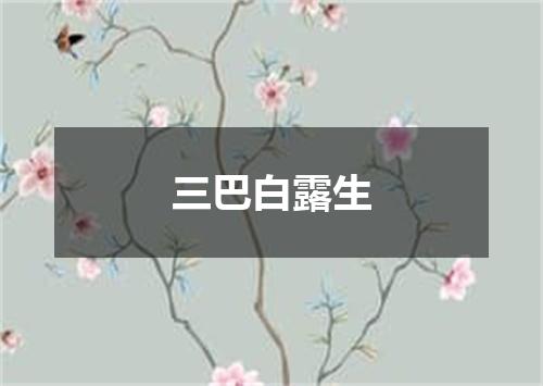 三巴白露生