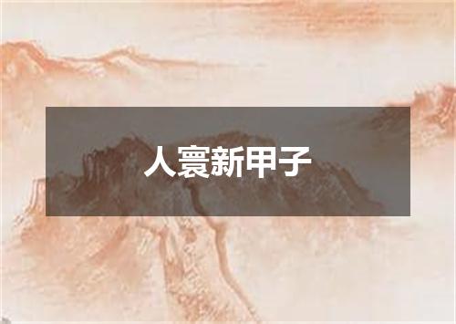 人寰新甲子