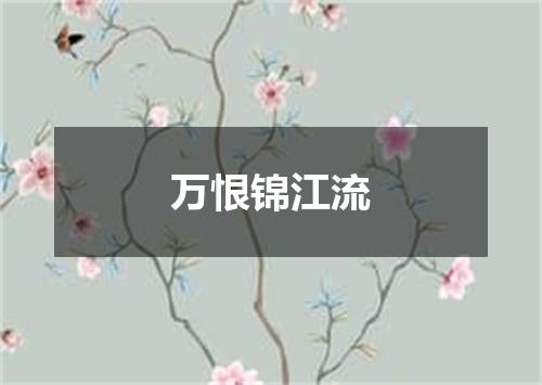 万恨锦江流