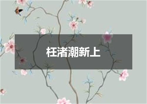 枉渚潮新上