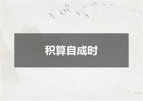 积算自成时