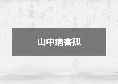 山中病客孤