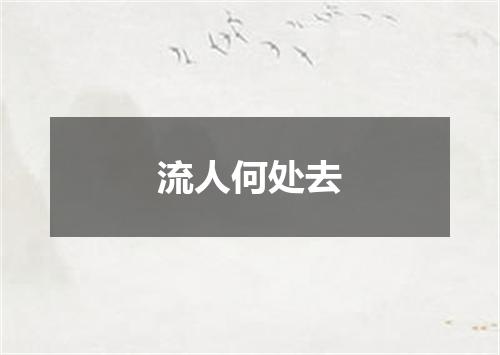 流人何处去