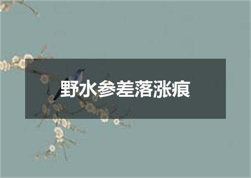 野水参差落涨痕
