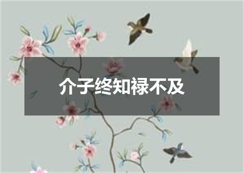 介子终知禄不及