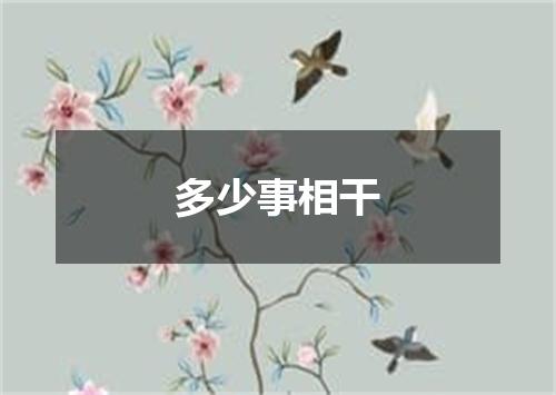 多少事相干