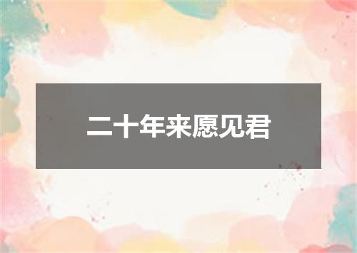 二十年来愿见君