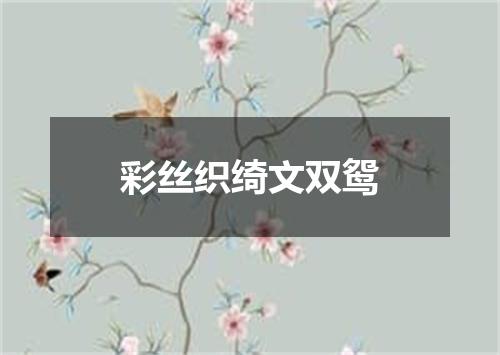彩丝织绮文双鸳
