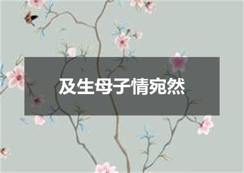 及生母子情宛然