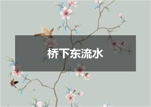 桥下东流水
