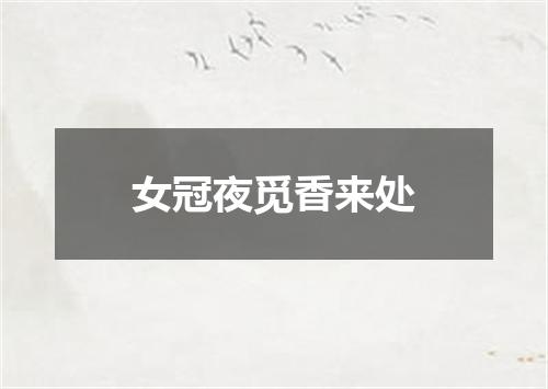 女冠夜觅香来处