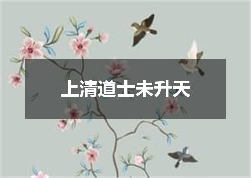 上清道士未升天