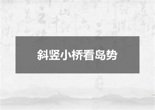 斜竖小桥看岛势