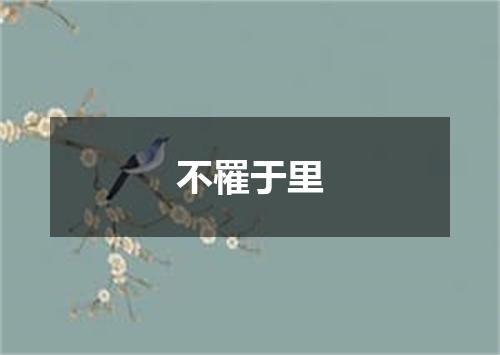 不罹于里