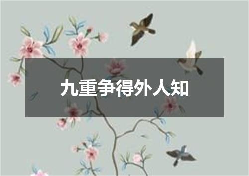 九重争得外人知