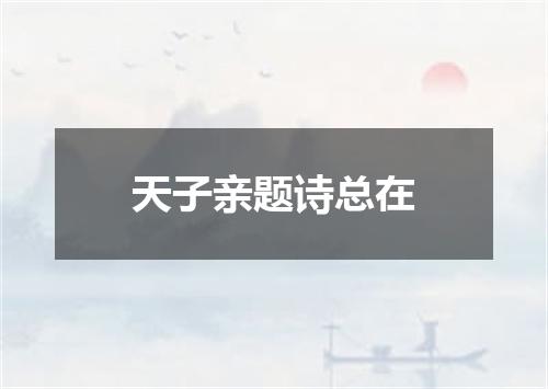 天子亲题诗总在