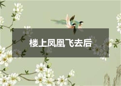 楼上凤凰飞去后
