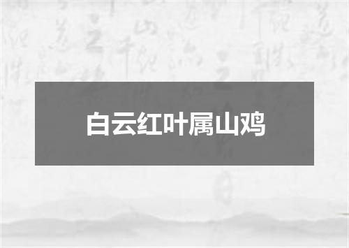 白云红叶属山鸡