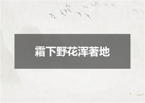 霜下野花浑著地