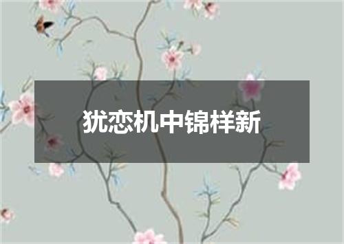 犹恋机中锦样新