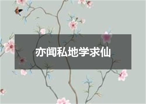 亦闻私地学求仙