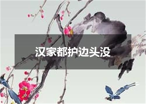汉家都护边头没