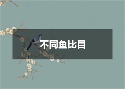 不同鱼比目