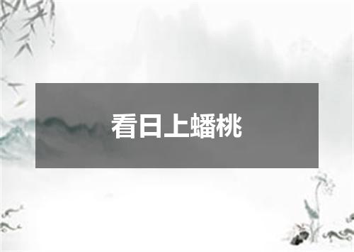 看日上蟠桃