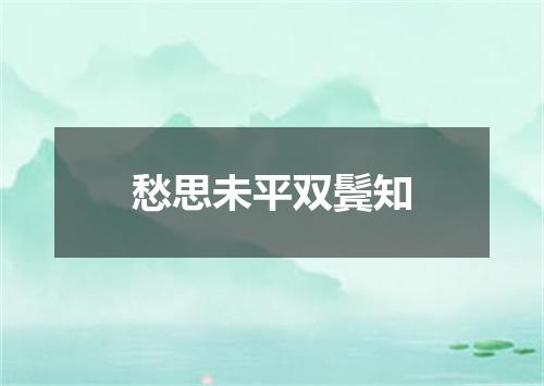 愁思未平双鬓知