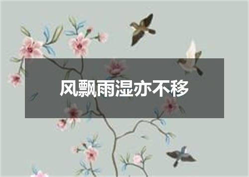 风飘雨湿亦不移