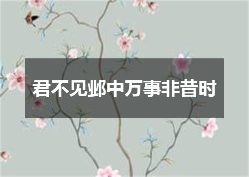 君不见邺中万事非昔时
