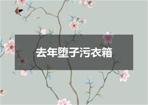 去年堕子污衣箱