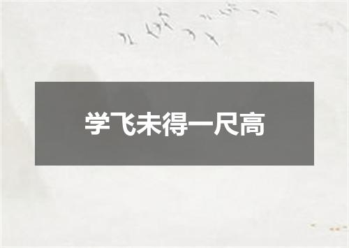 学飞未得一尺高