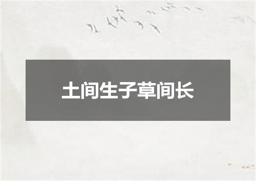 土间生子草间长