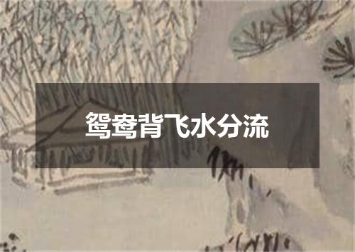 鸳鸯背飞水分流