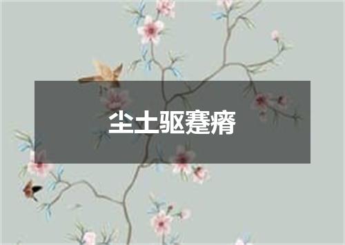 尘土驱蹇瘠