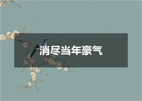 消尽当年豪气