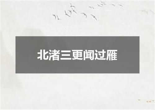 北渚三更闻过雁