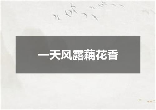 一天风露藕花香