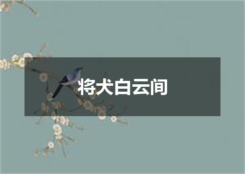 将犬白云间