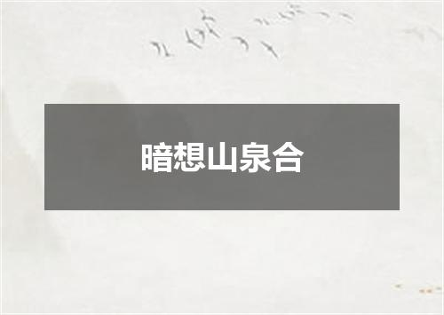 暗想山泉合