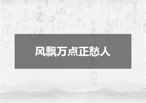 风飘万点正愁人