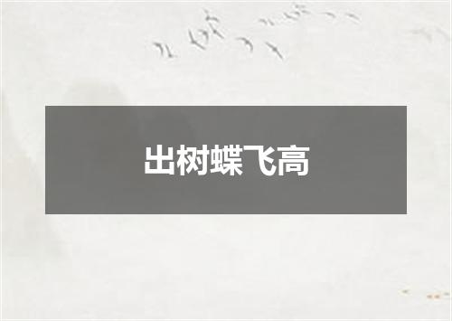 出树蝶飞高