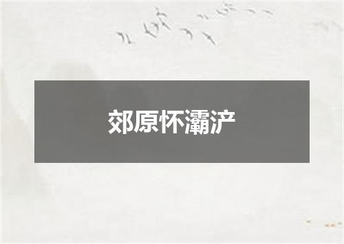 郊原怀灞浐