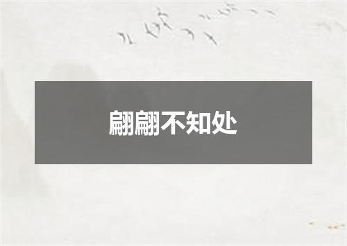 翩翩不知处
