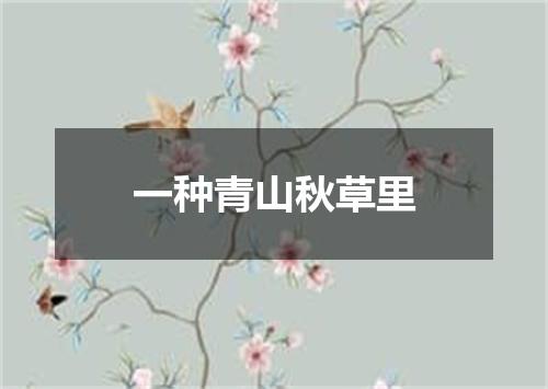 一种青山秋草里
