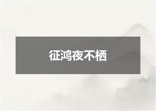 征鸿夜不栖